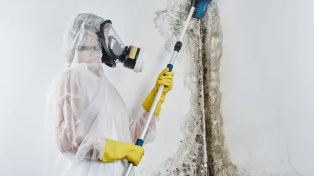 Technician in a respirator and protective suit treating a moldy wall with a pole sprayer